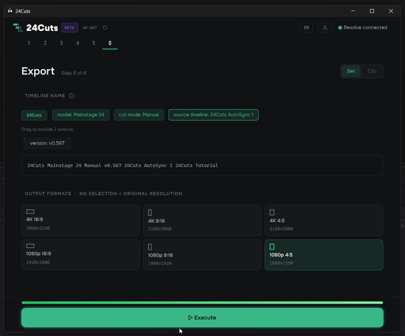 Export page: the timeline name built from chips, the grid of output formats, and the Execute button.